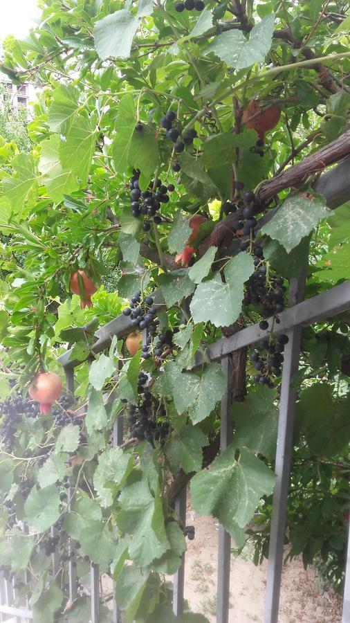 Домик У Реки Куры Tbilisi Eksteriør bilde